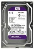 ������� ���� SATA 1TB 6GB/S 64MB PURPLE WD10PURZ WDC